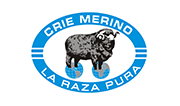 Merino