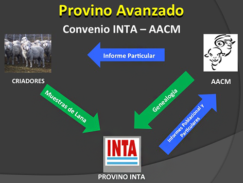 Esquema Evaluaciones Genéticas